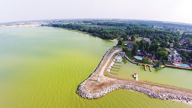 Experts say climate change is attributable to the growth of harmful algae blooms in Lake Erie, which can blanket the body of water with a thick, pea-green blanket.