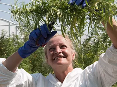 Image: How a Michigan-made marijuana testing company went national
