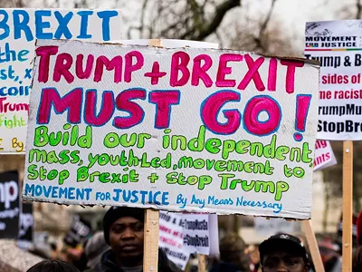 Image: Trump, Brexit, and the dumbing down of democracy