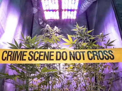 Image: Michigan balks at expunging pot-related convictions after legalization