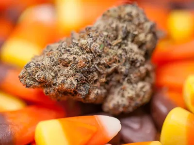 Image: Happy Halloweed! Here are some upcoming marijuana-infused Halloween events in Detroit
