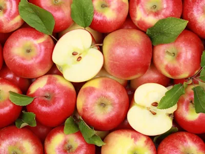 Image: ADVISORY: Officials ask consumers to dispose of possibly contaminated apple cider