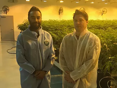 Image: Adventures in biosecurity at C3 Industries, a high-tech marijuana growing facility