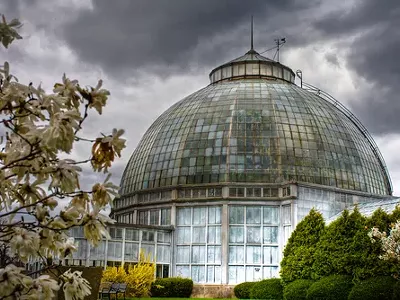 Image: Mobile app for Belle Isle debuts