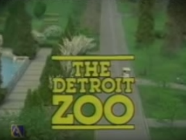 This vintage Detroit Zoo commercial will make you nostalgic for the '80s