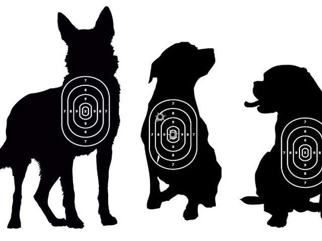 Why are Detroit cops killing so many dogs?