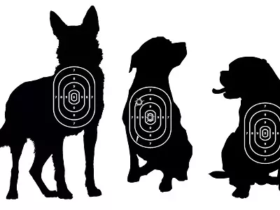 Image: Why are Detroit cops killing so many dogs?