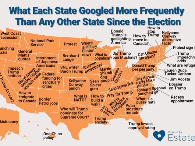 Here's what Michigan has been Googling since the election ended
