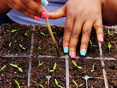 Image: On food, race, and power in Detroit