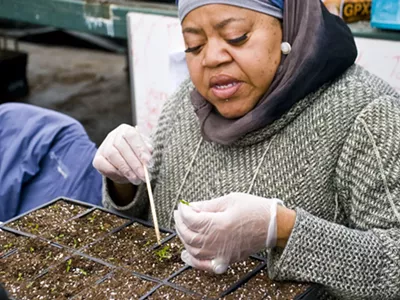 Oakland Avenue Urban Farm.