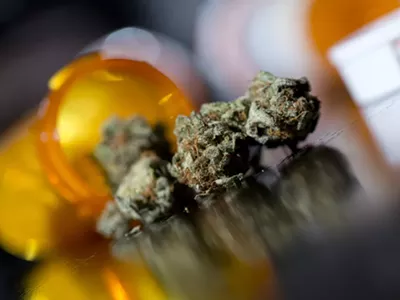 Image: Michigan marijuana proposals head to the ballot