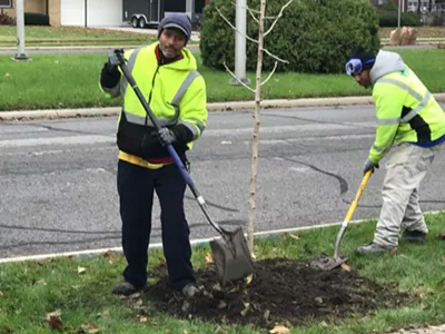 Crews plant a tree in northwest Detroit as part of the "10,000 Up" program.