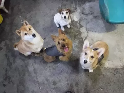 Look at these good boys and girls.