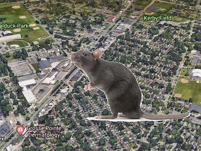 Image: Grosse Pointe will fight rat problem around its DPW site... by moving it to Detroit