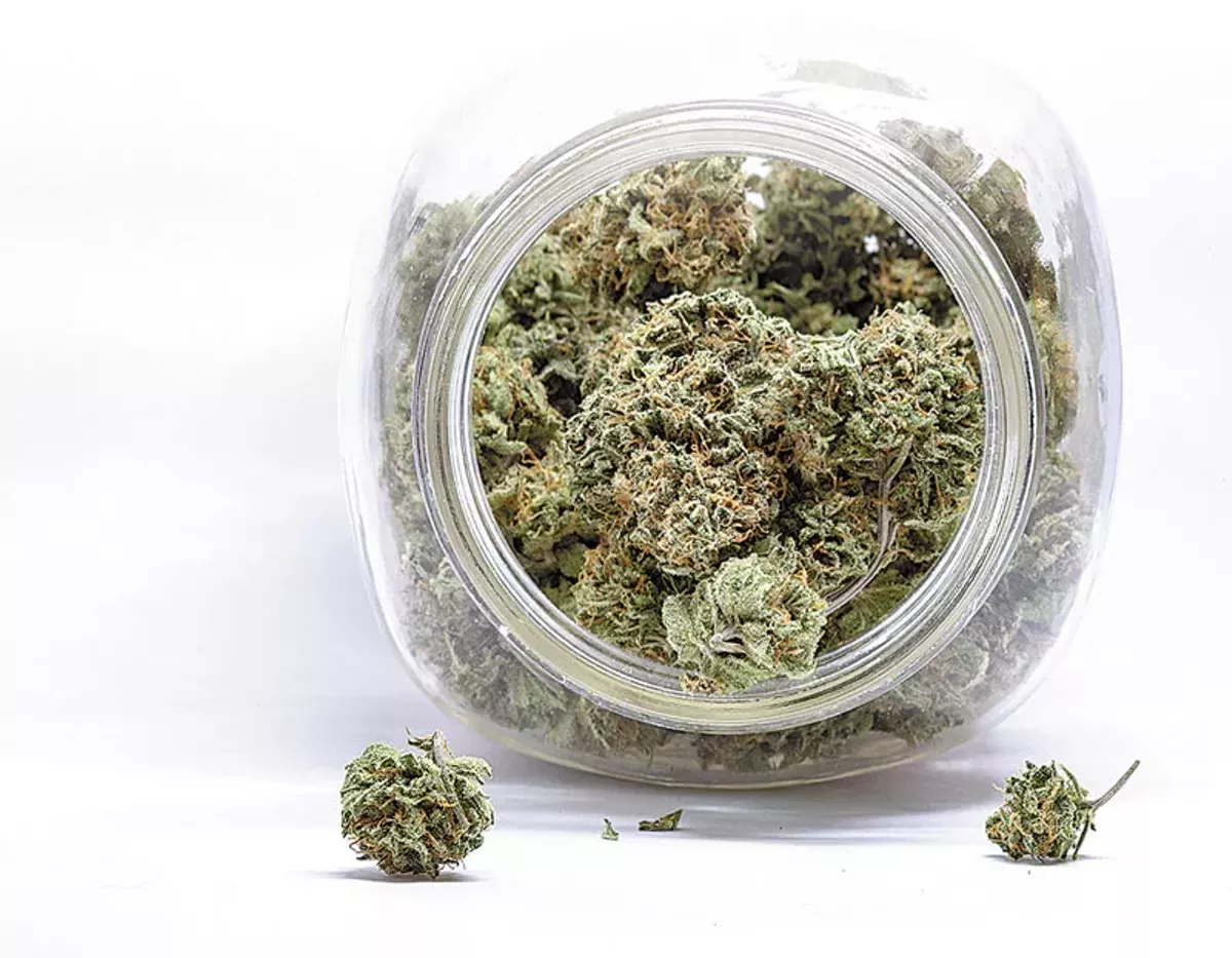 Image: Updates on Michigan’s marijuana provisioning centers, driving while high, and other nuggets of news