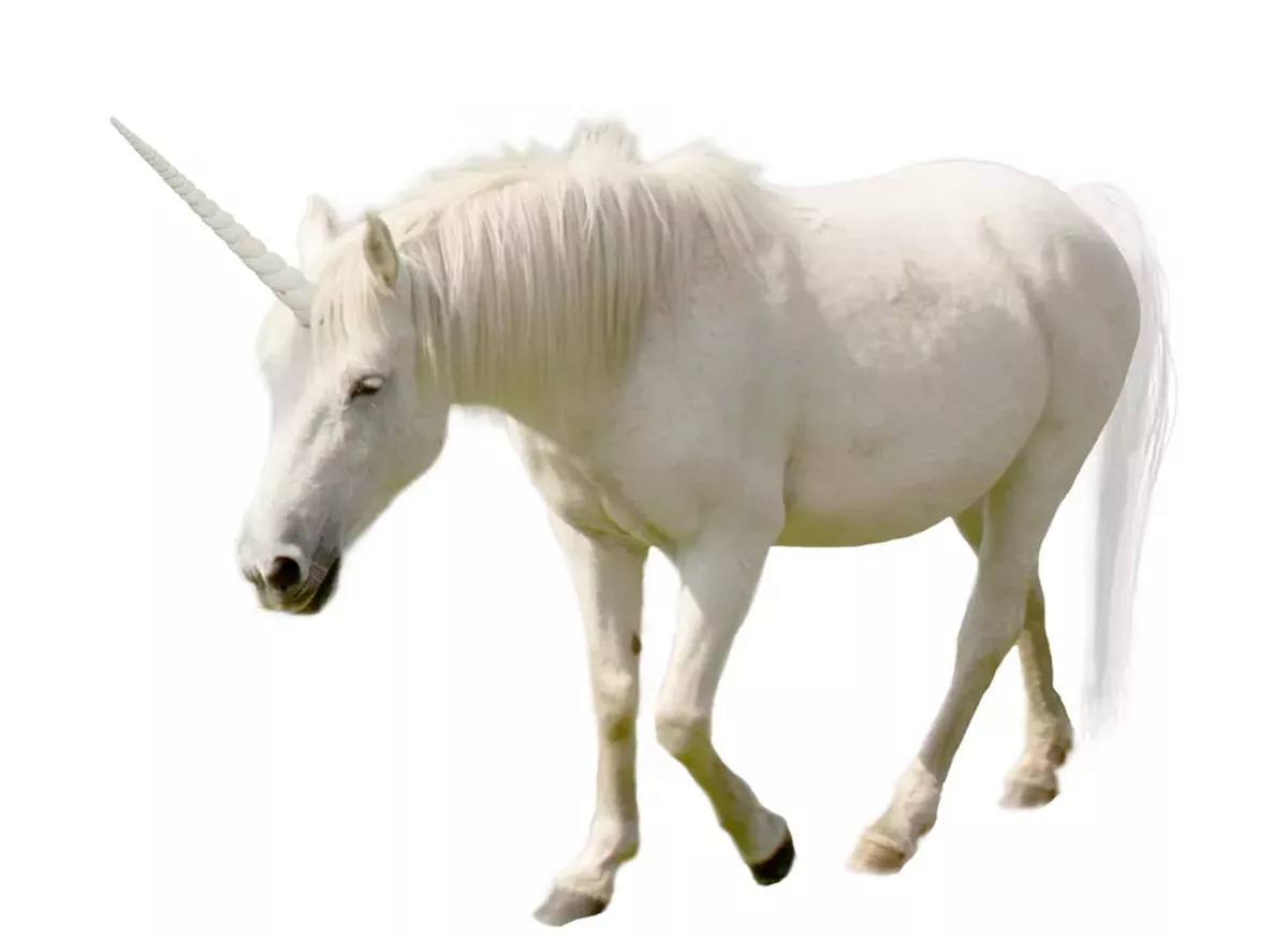 Image: Savage Love: Am I a male ‘unicorn?’