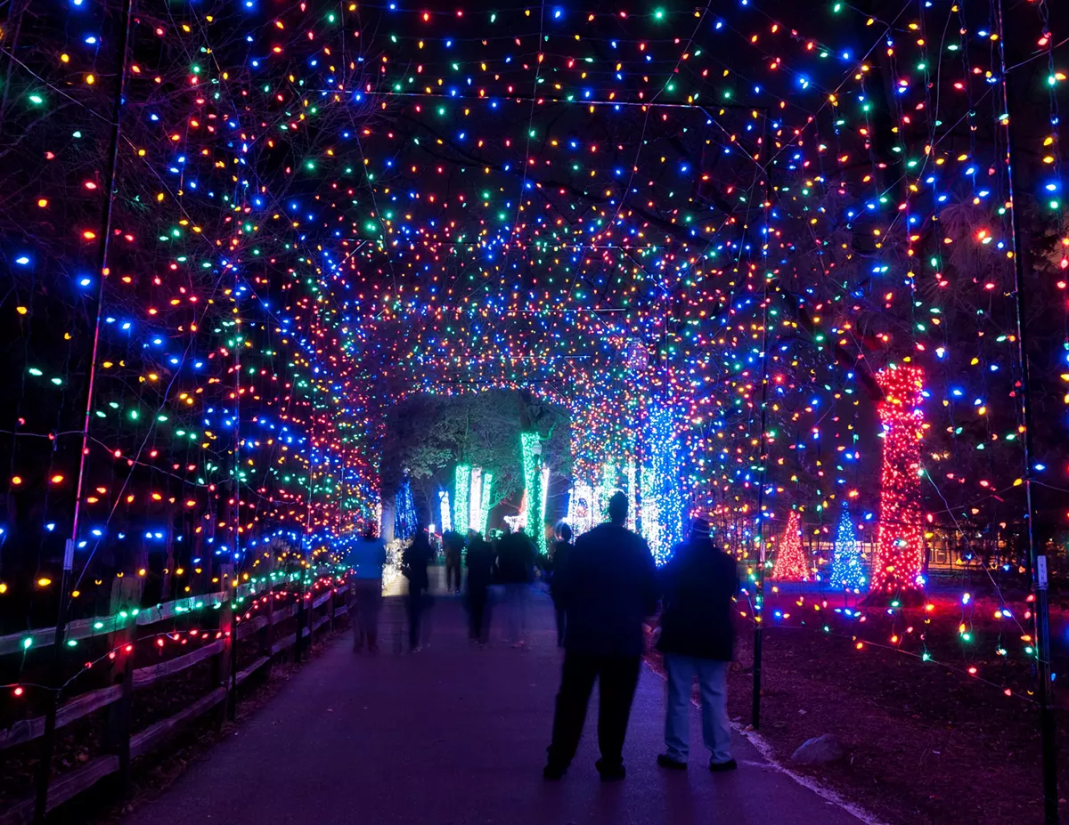 wild-lights-tunnel-by-mark-m-gaskill.webp