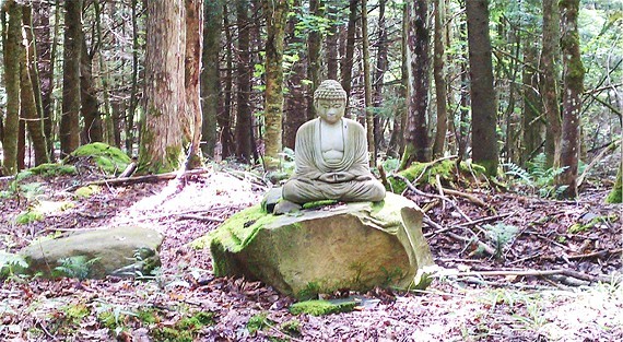 8b61735b_buddha_in_the_forest_copy.jpg