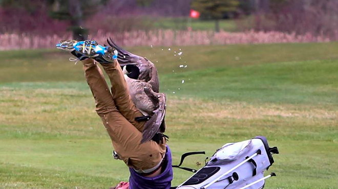 Goose attacks Michigan teen golfer, only thing hurt is 'his pride'