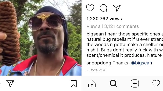 Anyway here's Big Sean giving Snoop Dogg advice about pine cones