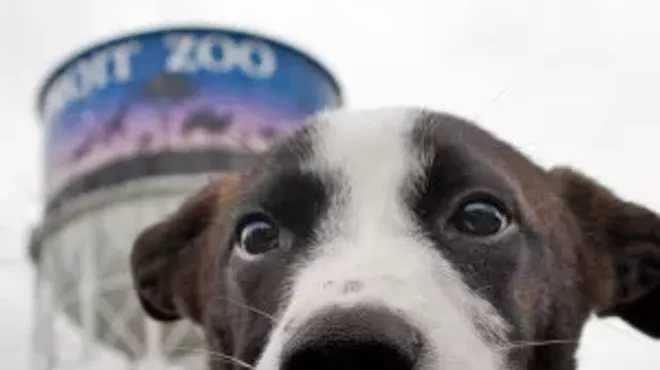 Image: Meet Your Best Friend at the Zoo Adoption Event