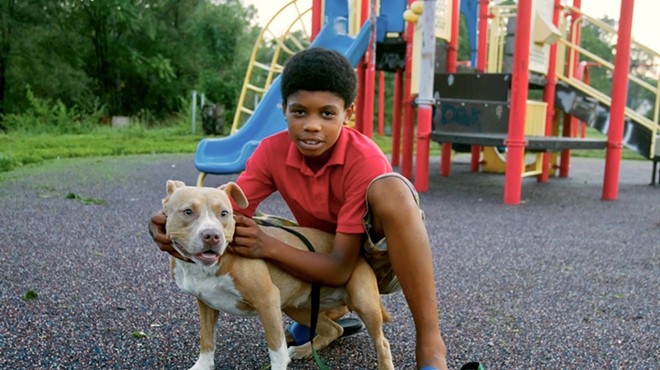 A boy plays with a bully breed dog at a park.