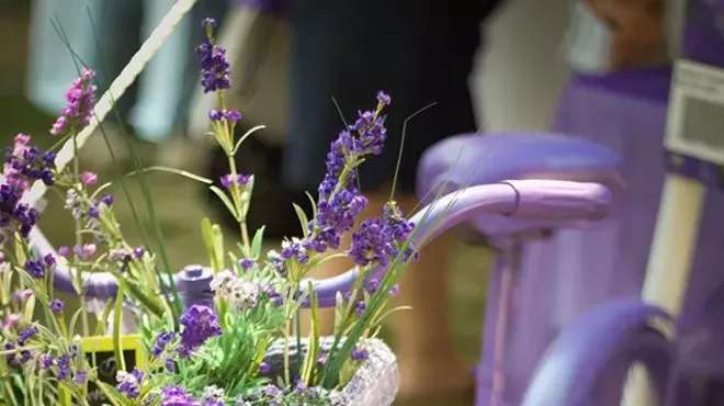 Image: Lavender Festival