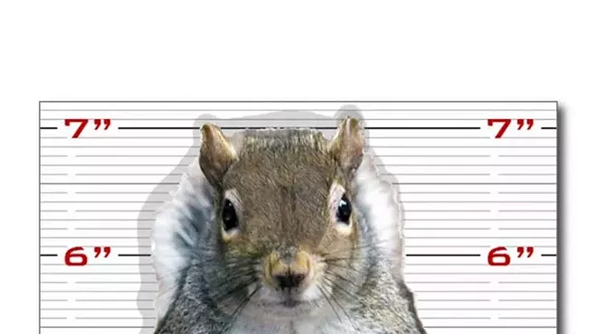 Image: 28,000 pounds of nuts stolen in Shelby Township