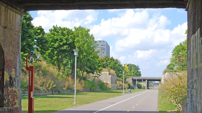 Image: Chicago Tribune highlights the greening of Detroit