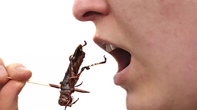 Image: Beer and bugs on bar's menu for Wayne State event
