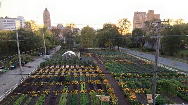 Detroit urban farm in first place to win $25k prize