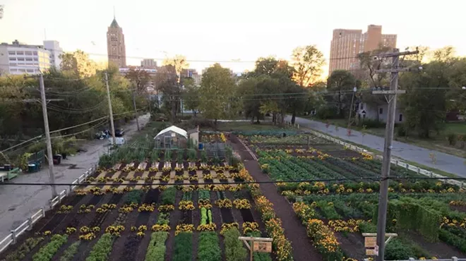 Image: Detroit urban farm in first place to win $25k prize