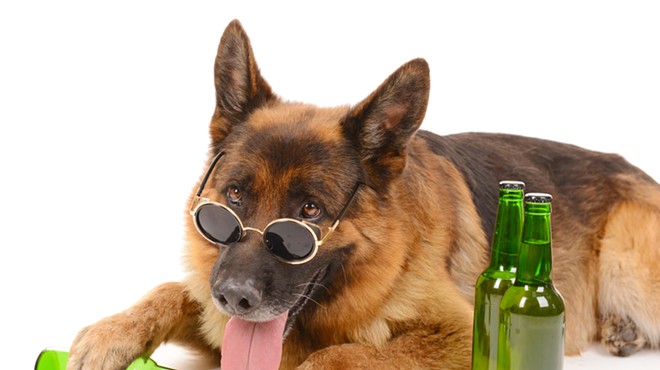 Canine To Five's Drinking with Dogs
