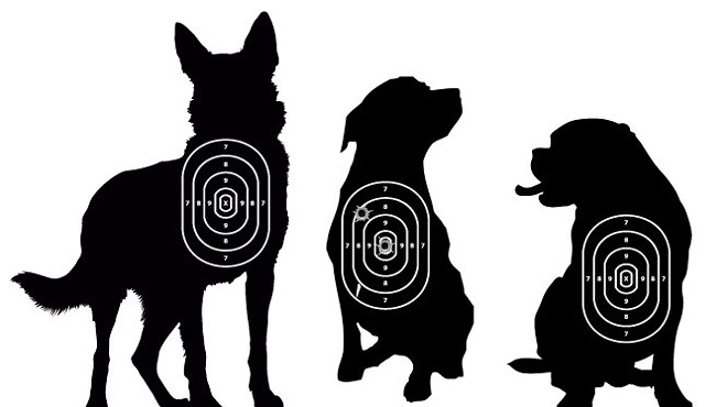Why are Detroit cops killing so many dogs?