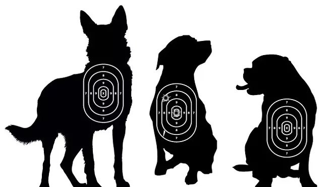 Image: Why are Detroit cops killing so many dogs?