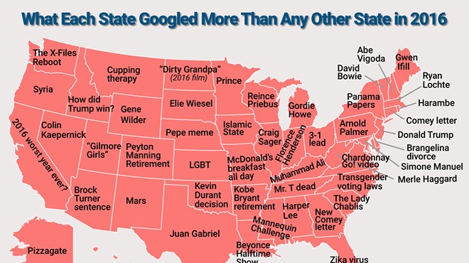 You'll never guess what Michigan googled more than any other state this year