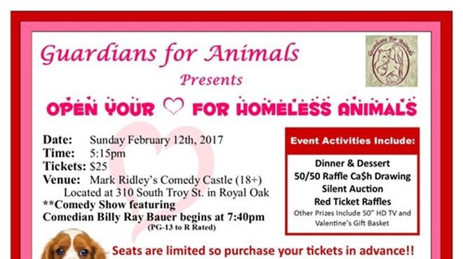 Open Your Heart for Homeless Animals