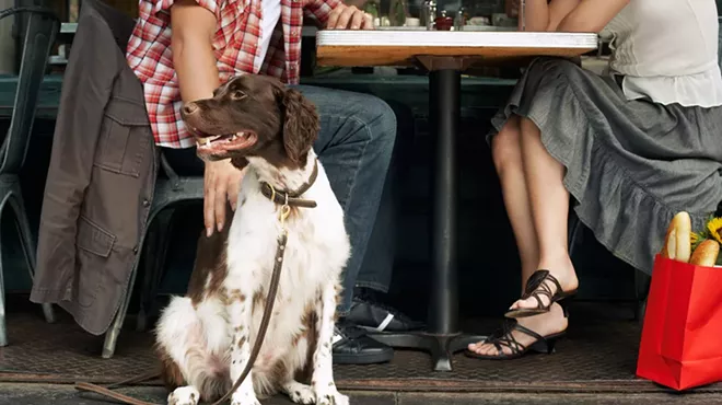 Image: Royal Oak's Bastone Brewery's patio is now dog-friendly featuring new doggy menu