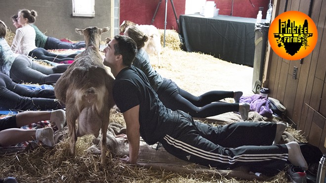 Goat yoga returns to Detroit