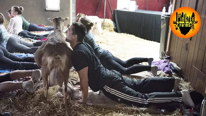 Image: Goat yoga returns to Detroit