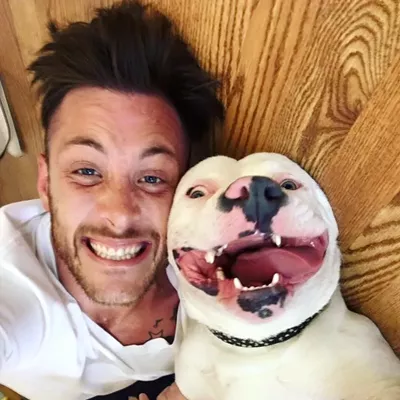 Image: The Detroit dog that gave us a reason to smile could be taken away