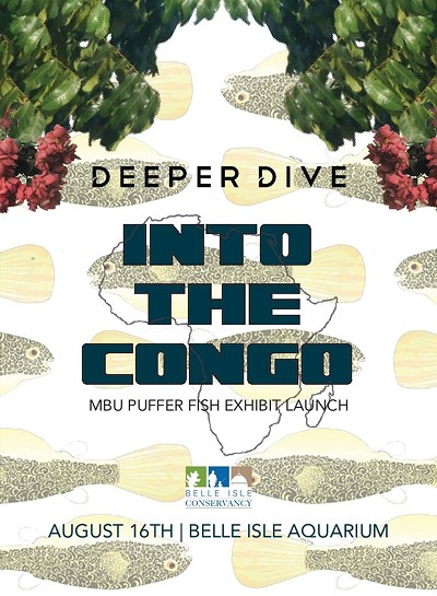 Deeper Dive: Into the Congo