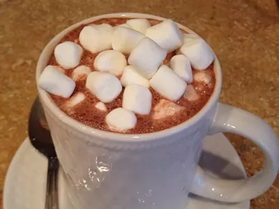 Image: Where is the best place for hot chocolate in metro Detroit?