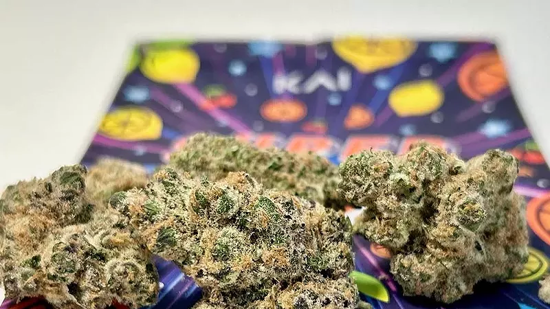 Super Boof by multiple cultivators If you want a strain that lifts your mood without pushing you into overdrive, Super Boof is a solid choice. Named Leafly’s 2024 Strain of the Year, Super Boof is bred from Black Cherry Punch and Tropicana Cookies, and it’s easy to find. It delivers a clear-headed, euphoric high that’s energizing without being edgy. My favorite cultivators of this strain are the Hive, Kai Cannabis, Chronicseur Farms, Hytek, and Pro Gro.