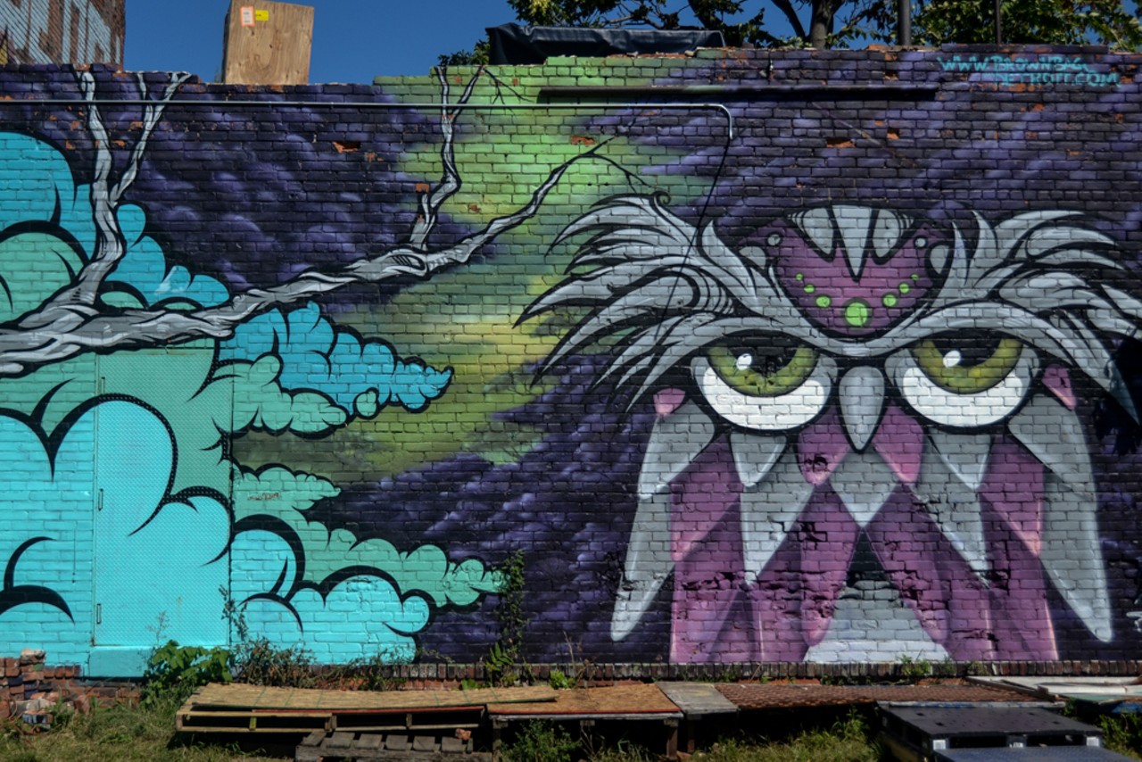 The Lincoln Street Art Park also features incredible displays of graffiti, such as the lovely and sizable owl.