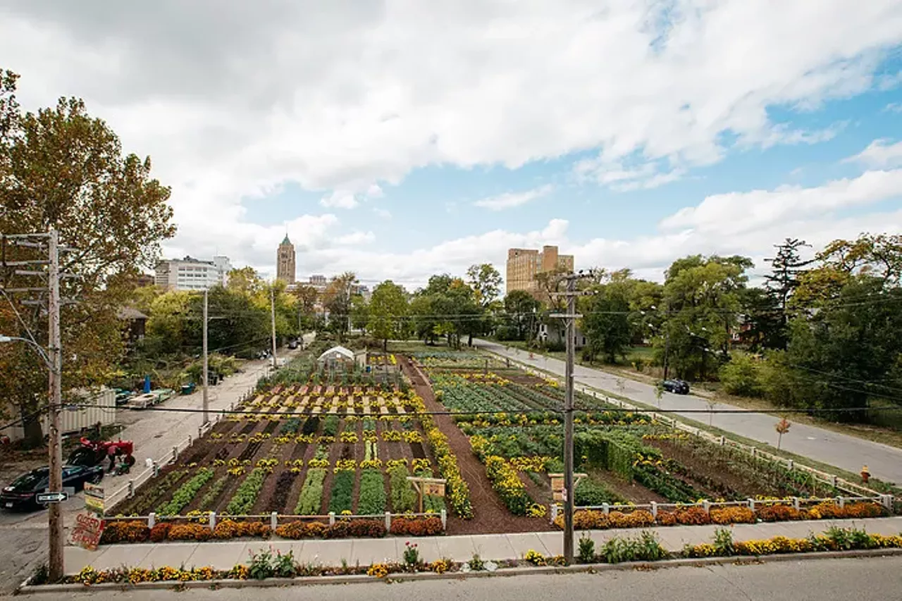 Volunteer at The Michigan Urban Farming Initiative - 7432 Brush, Detroit - Gardening is a key sign that spring has arrived. Greenhouses and farms are active with with people buying flowers, plants, and fresh produce. Volunteering at the year-round Michigan Urban Farming Initiative (MUFI) is a great way to give back to the city and exercise your green thumb. MUFI uses agriculture to promote education, sustainability, and community to empower urban communities. You can volunteer every Saturday beginning at 10am. Sign up on their website, or just show up! www.mufi.org