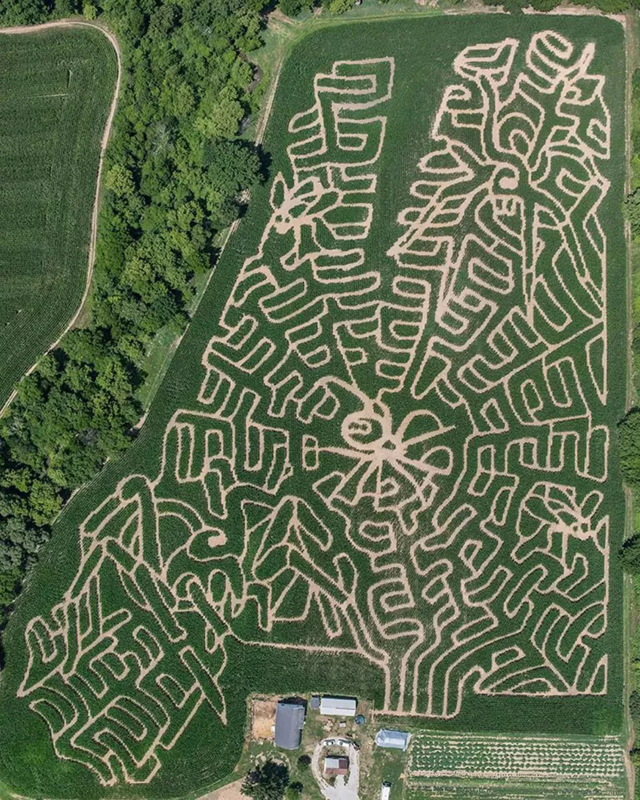 Coleman&#146;s Corn Maze Coleman&#146;s Farm is family operated and has deep roots in agriculture. Their corn maze is insane at this farm. There are 3 separate mazes within a 17-acre corn field. Have fun getting lost in that bad boy! Plus, they have pumpkins, donuts, and hayrides for everyone. 12758 Jordan Rd., Saline 734-429-1212 Mon-Thurs 6-9 p.m.; Friday 6-10 p.m.; Sat 10 a.m.- 10 p.m.; Sun noon- 9 p.m.