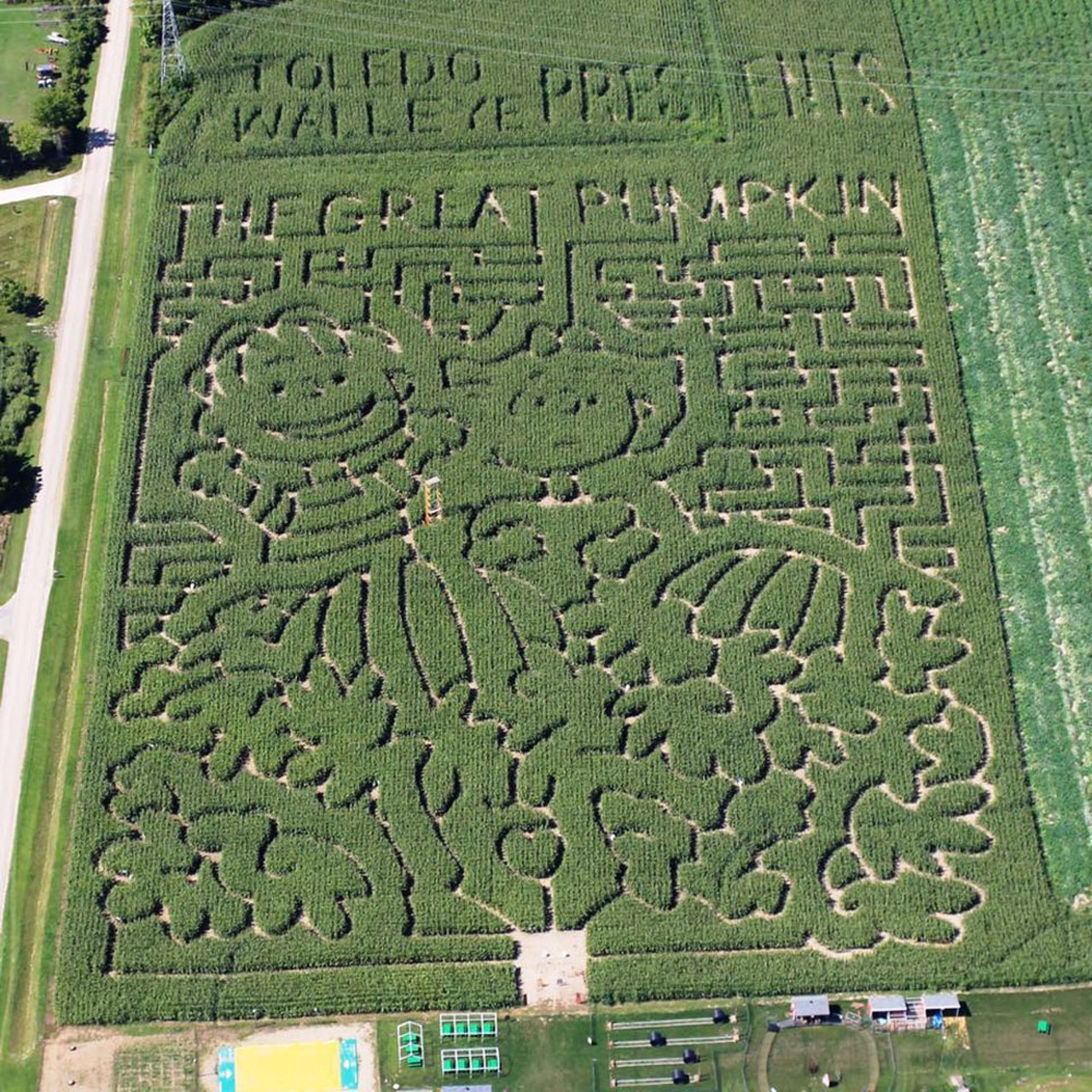 15 corn mazes and pumpkin patches in SE Michigan to put you in the