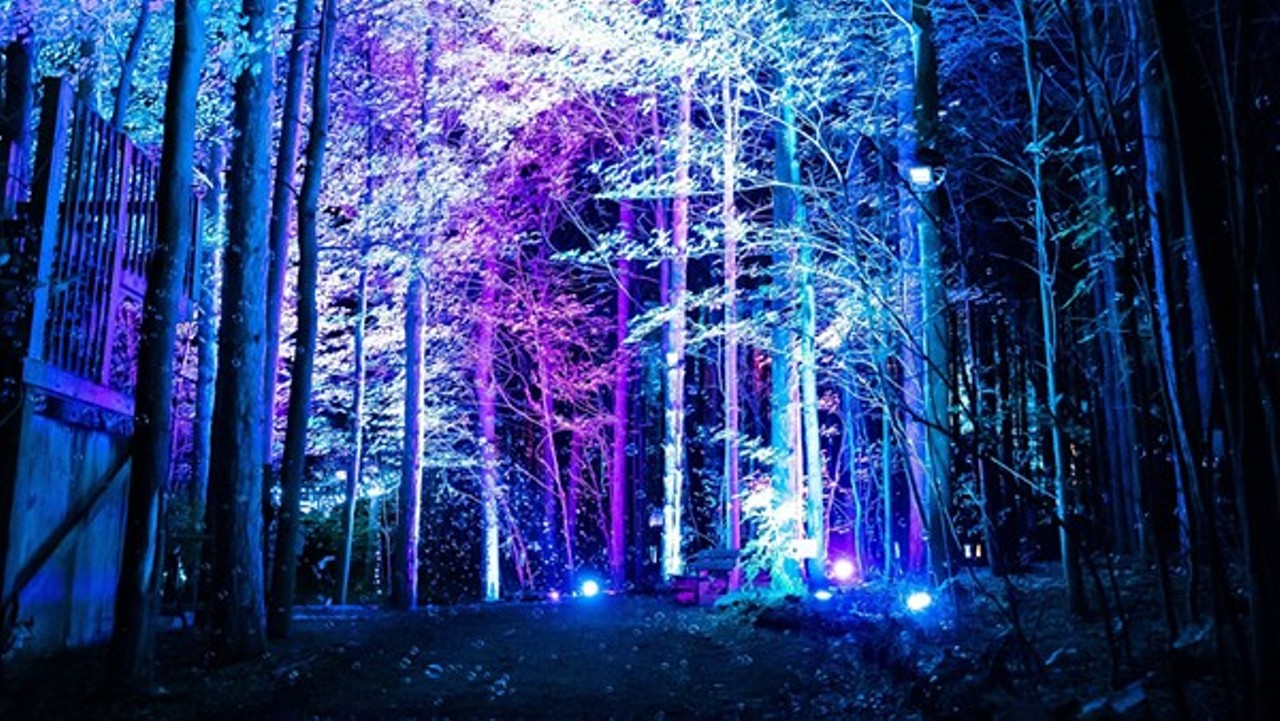 Glenlore Trails: The Haunted Forest
Through Nov. 15. 3860 Newton Rd., Commerce Twp.; glenloretrails.com; Tickets are $15-25
Electric Forest may have been canceled and, frankly, that still stings, but there's a new illuminated forest experience in town to satiate our desire to feel anything other than recurring TikTok-induced depression and Twitter-fueled existential dread. For anyone like who needs to log the eff off for at least the duration of a half-mile trek through a magical and potentially haunted forest, there's Glenlore Trails: The Haunted Forest, an interactive and sensory experience in Commerce Township. Though it debuted in August as a non-haunted attraction, the light and design production team have pivoted to giving the people what they want: family-friendly spooky shit! 
Photo courtesy of Courtesy of Bluewater Technologies 
