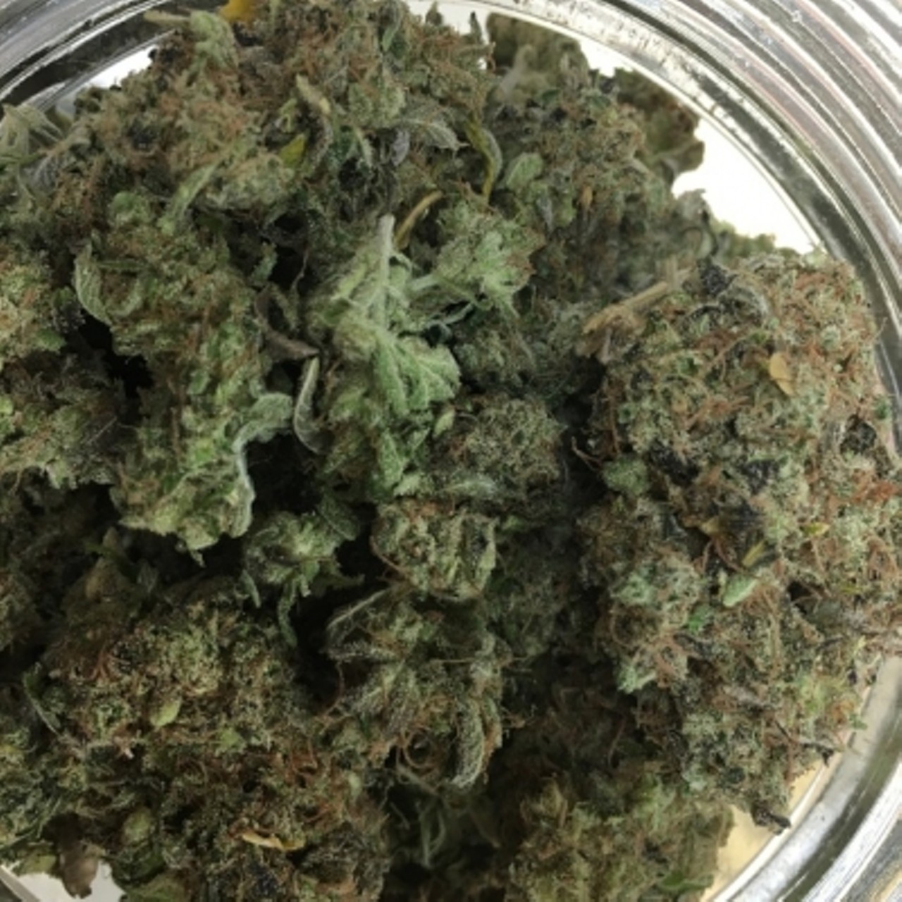 Bank of Buds
Get more bang for your buck at Bank of Buds on the northwest side of Detroit. Secure facility and friendly staff will help you get anything you need from flowers to concentrates.
&nbsp;(313) 766-6125
22401 W. 8 Mile,&nbsp;Detroit, Michigan 48219